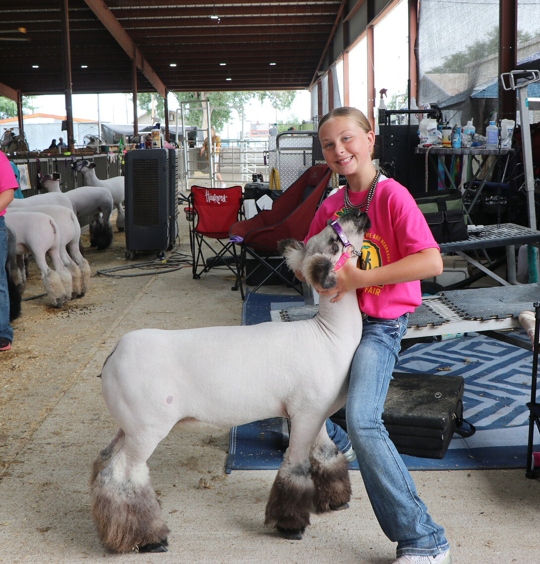 girl showing her sheep