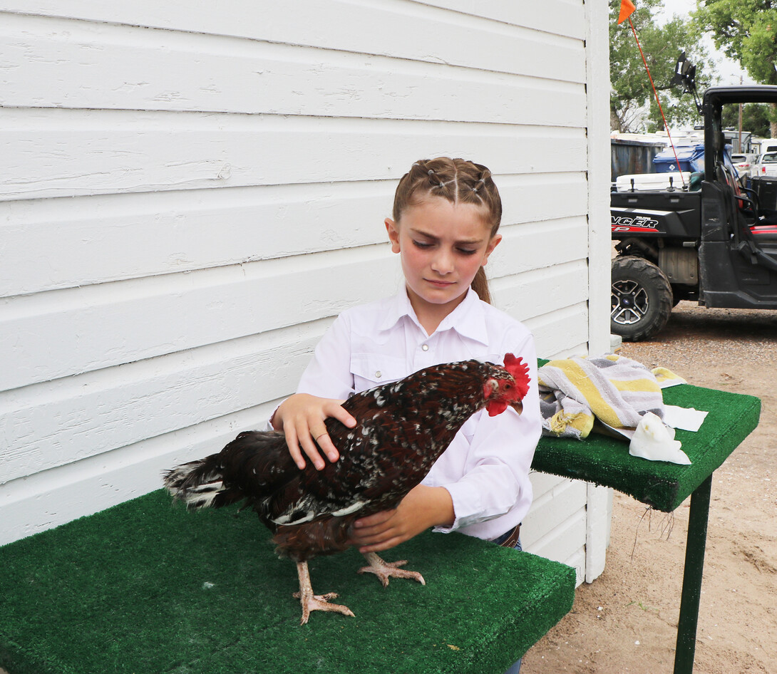 showmen with chicken on table