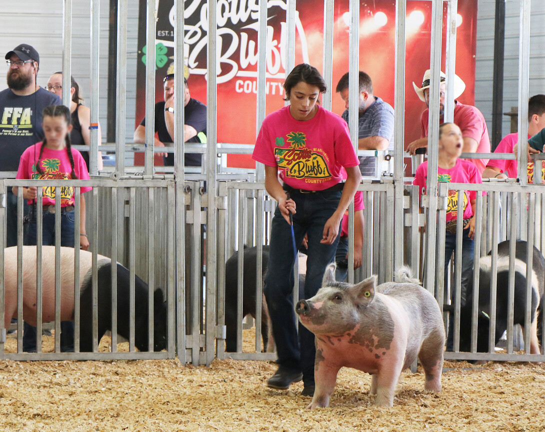 Rico Ramirez showing his pig