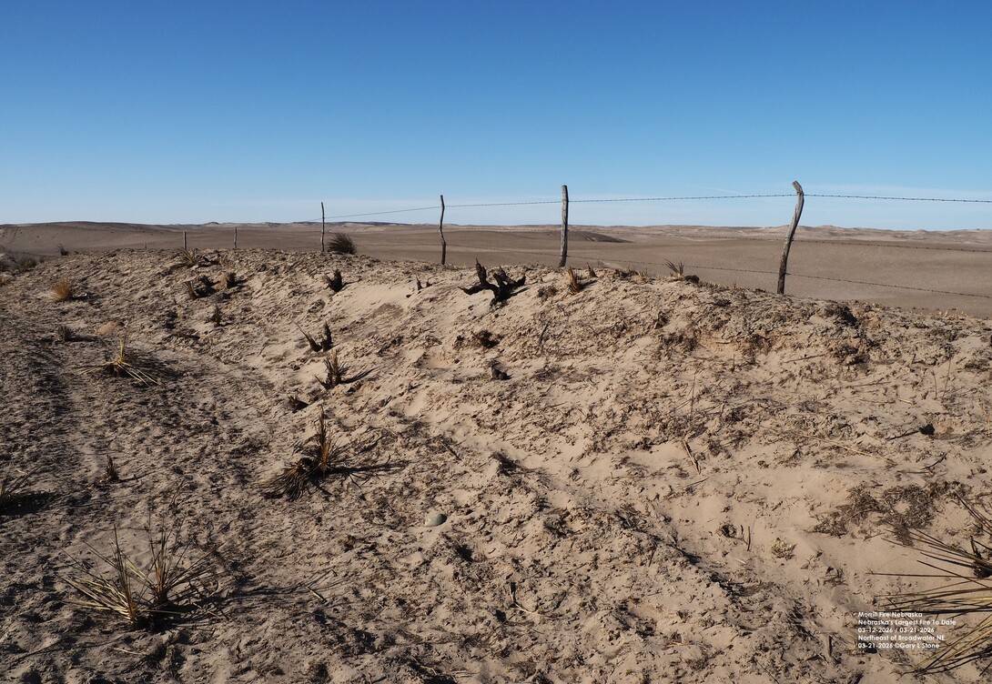 burned posts after Morrill Fire