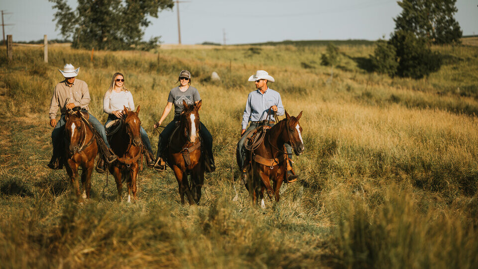 four riders on horseback