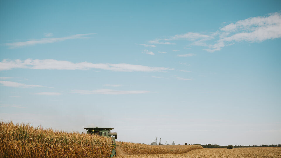 combine harvesting in a field
