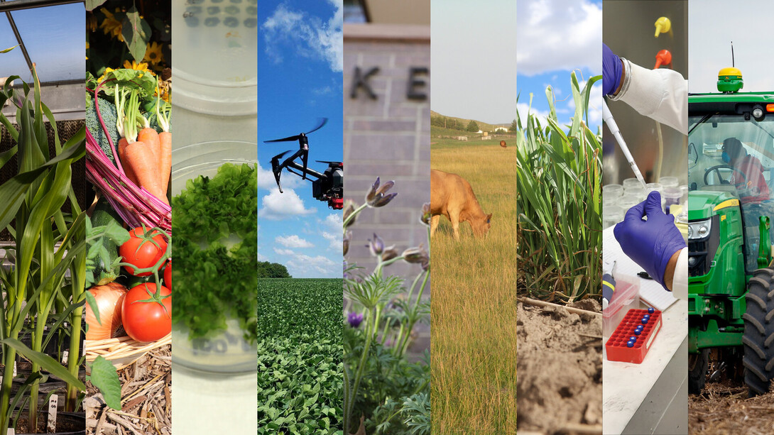 Agronomy and Horticulture IMPACT 2026 — Innovation and Partnerships for the Future — will be held March 3–4 at Nebraska Innovation Campus, hosted by the Department of Agronomy and Horticulture.