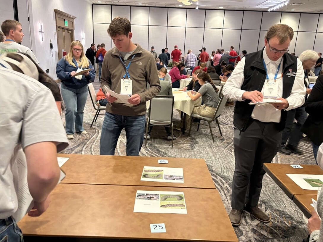 Miles Wulf (center), a sophomore agricultural economics major, works on Pest ID in the General Knowledge section of the crops judging contest at CANVAS 2025 in Salt Lake City, Utah.