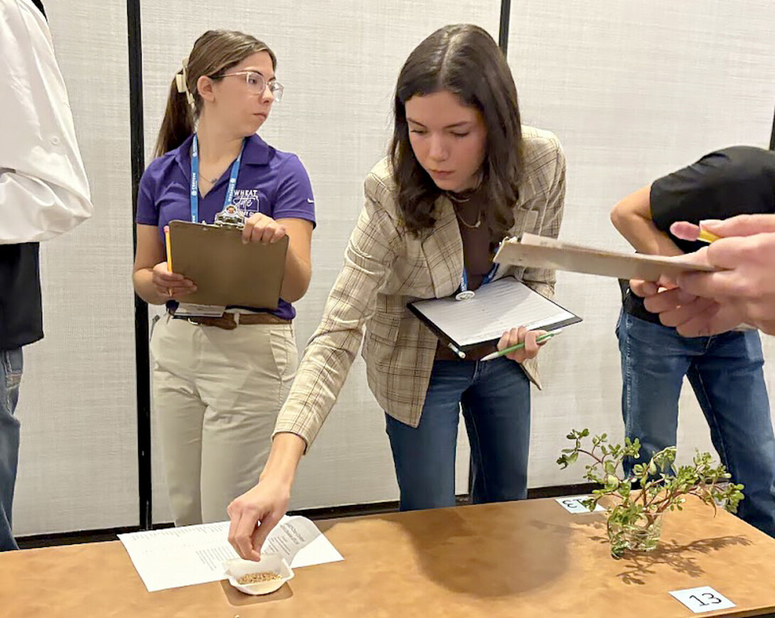 Gabrielle Clifton, a junior plant biology major, competes in the crops judging contest with her Husker teammates at CANVAS 2025 in Salt Lake City, Utah. Clifton placed 10th individually in the contest.