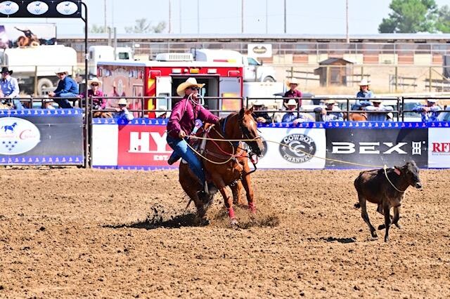 cayson calf roping
