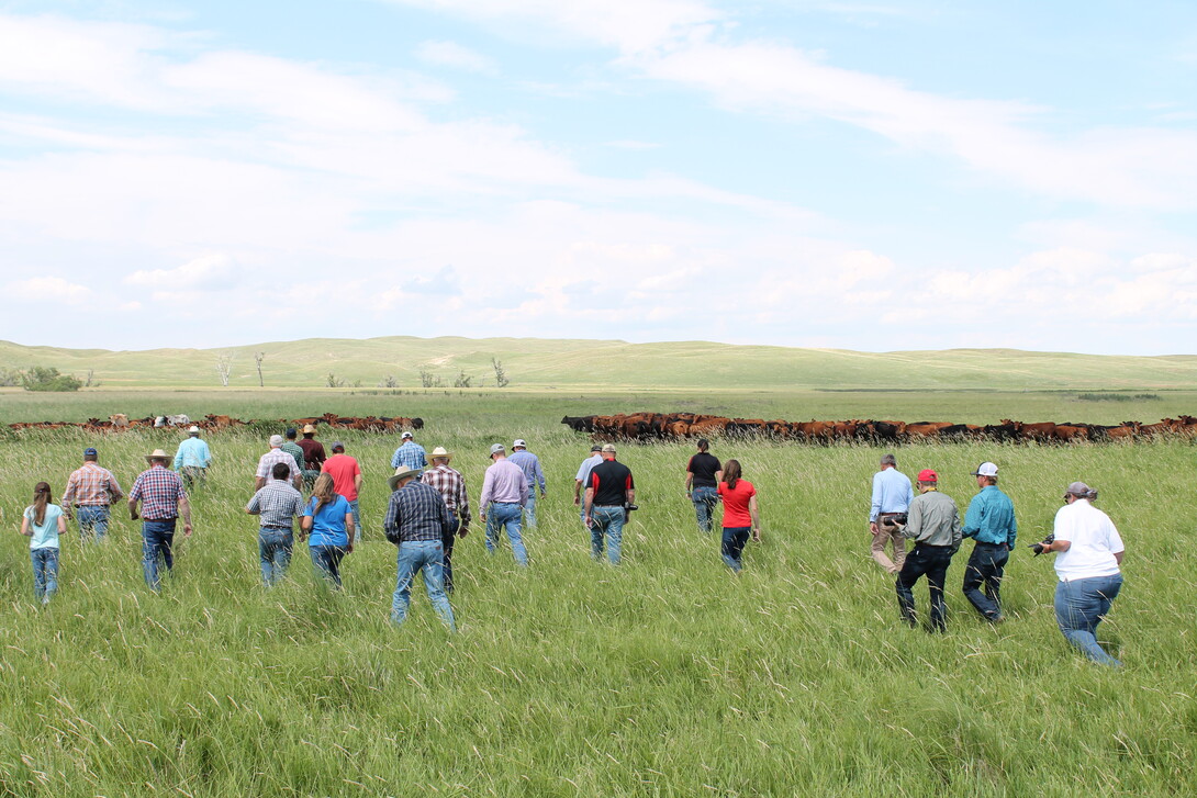 A group of cattle producers and Extension professionals walk through native pasture, observing forage conditions and discussing grazing strategies.