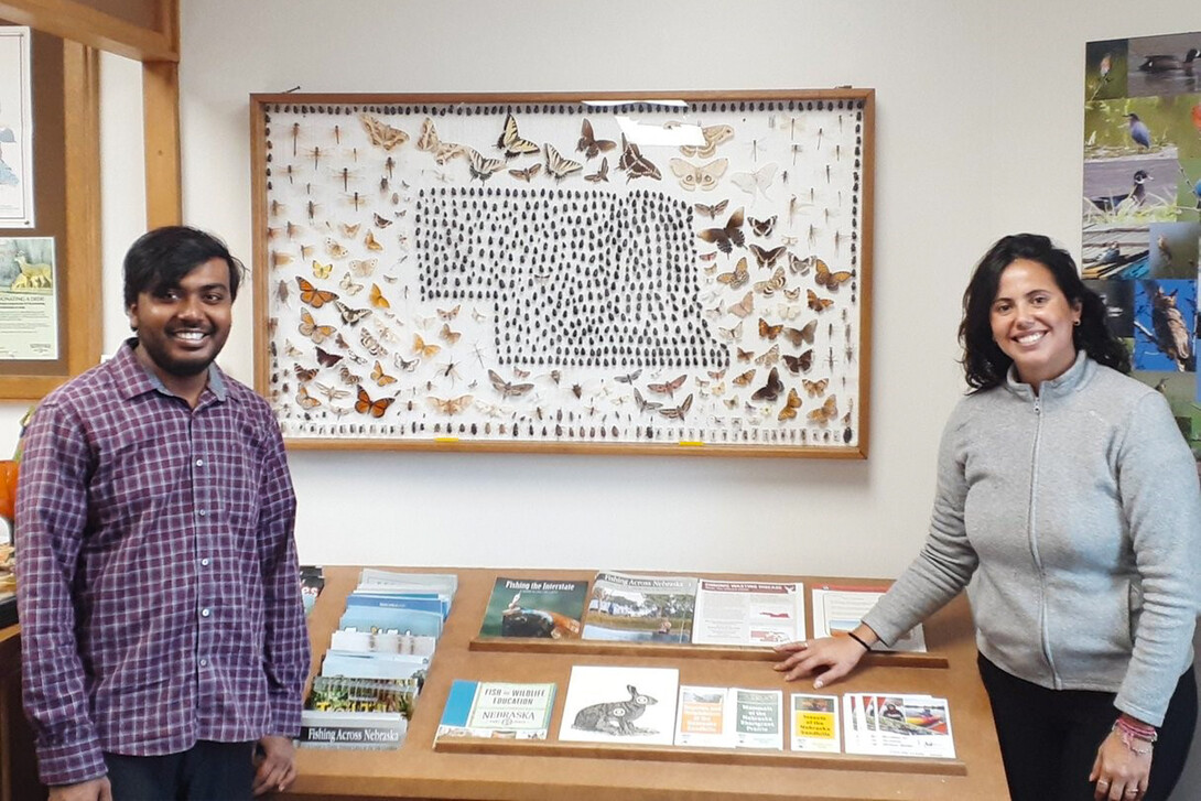 A brown man with dark hair and a beard stands on the left in a purple shirt, across from a brown woman with long brown hair in a grey shirt. They both stand in front of a large entomology display with insects surrounding an illustration in the shape of Nebraska.