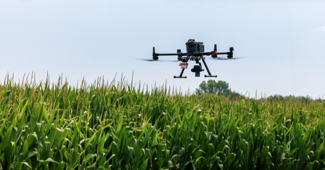 drone flying over cornfield