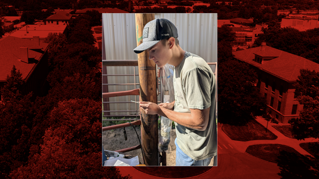 Cameron Berliner, a first-year University of Nebraska-Lincoln student from Stapleton, Nebraska, gains hands-on experience to supports his goal of practicing large-animal veterinary medicine in rural Nebraska.
