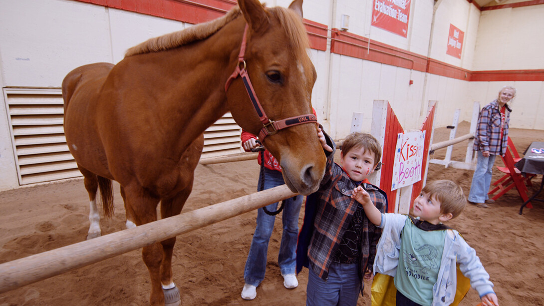 Two children give nose pats to DT, a horse, in the Animal Science Complex.