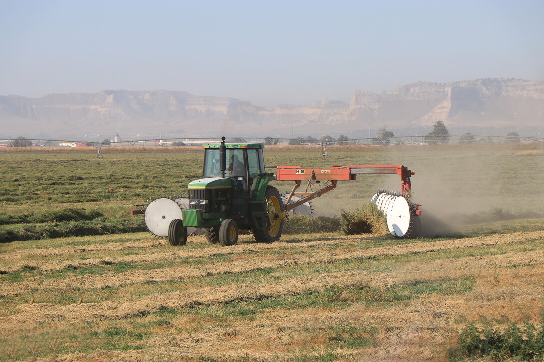 field of alfalfa