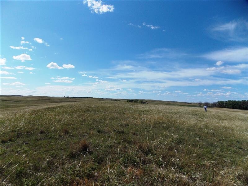 Wide view of an open Sandhills pasture under a blue sky with scattered clouds. A person stands in the distance near the right edge of the image, surrounded by gently rolling grass-covered hills.