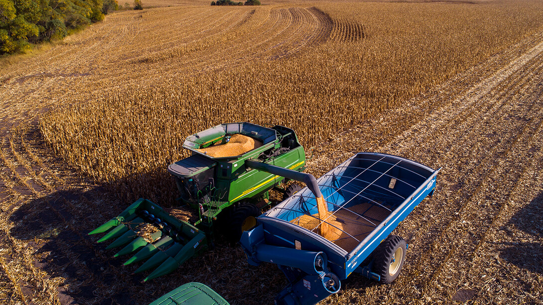 crop harvest