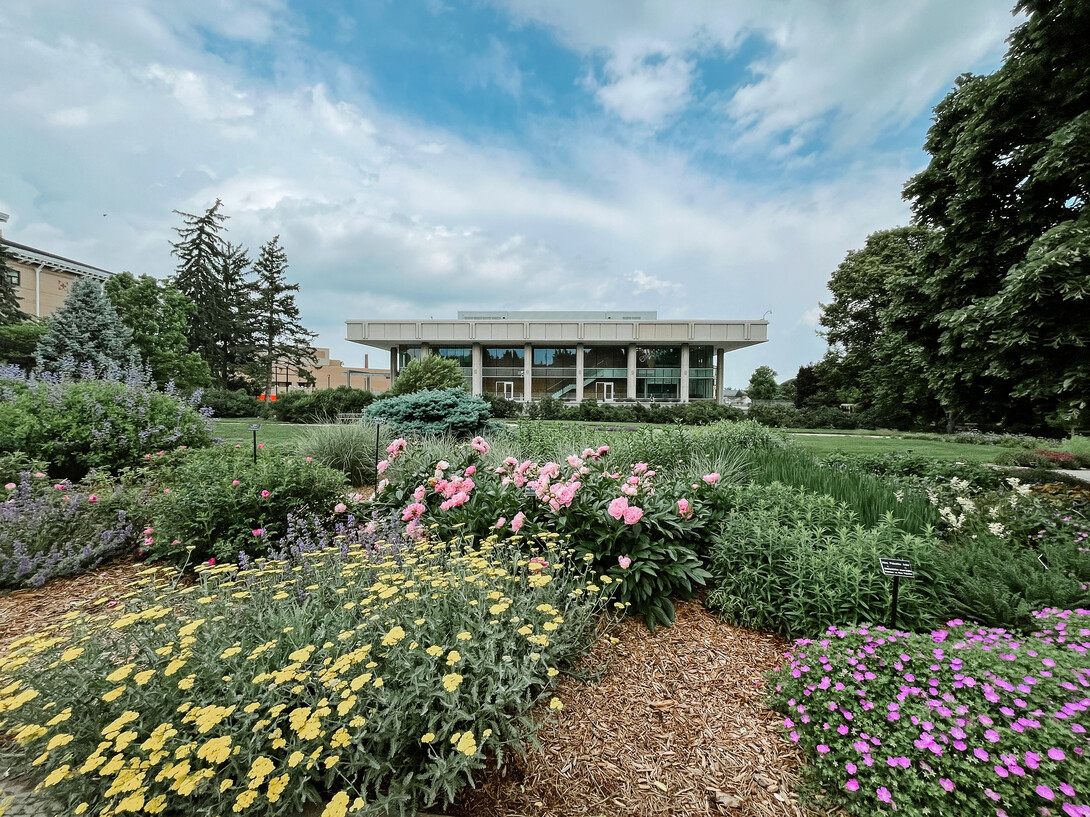 Dinsdale Learning commons