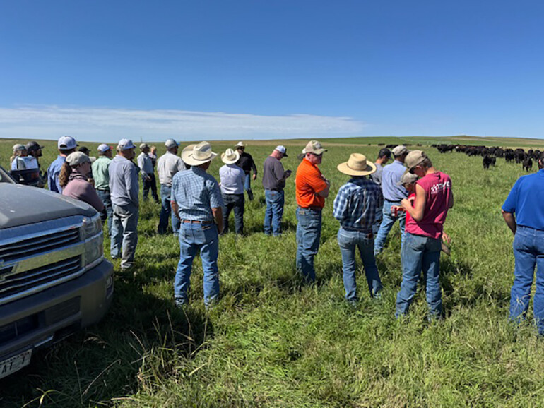 people in field