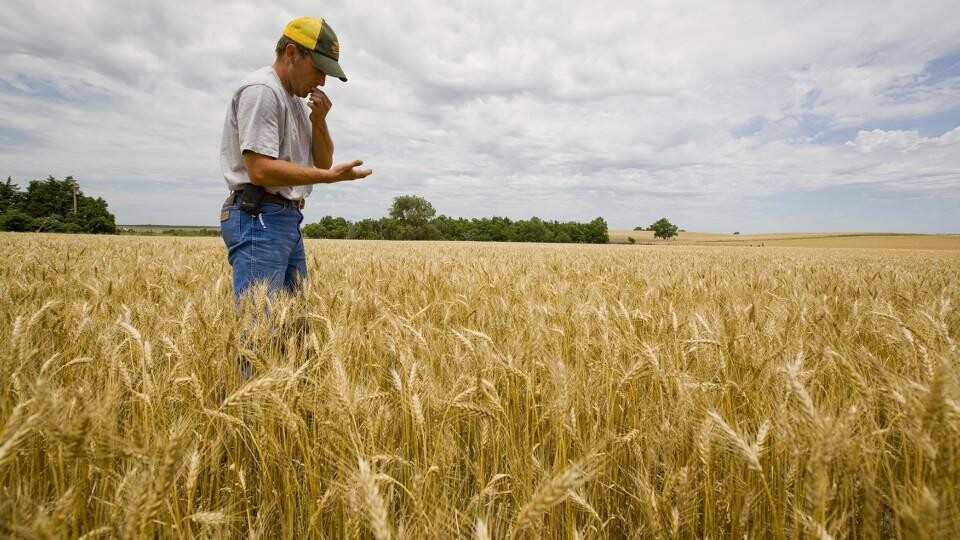 Agriculture