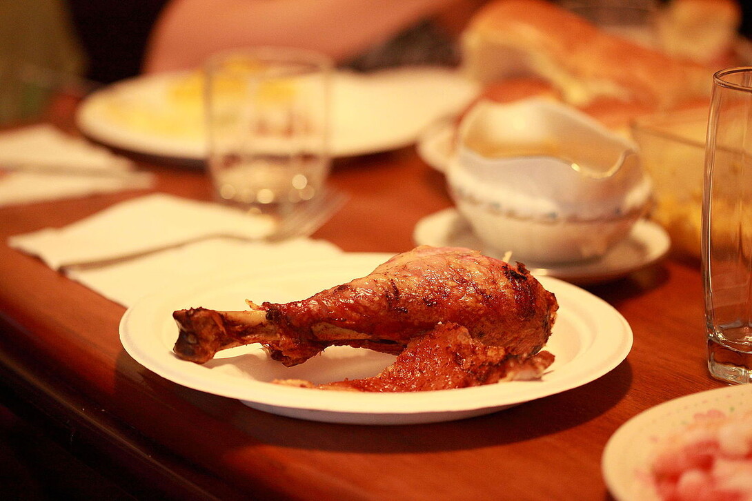 turkey drumstick
