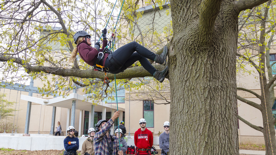 tree husker