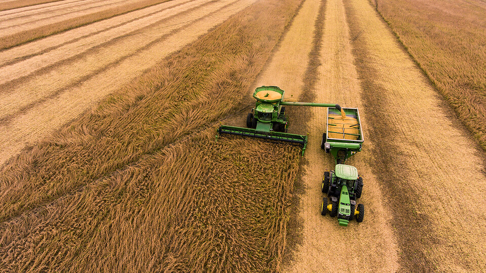 harvest