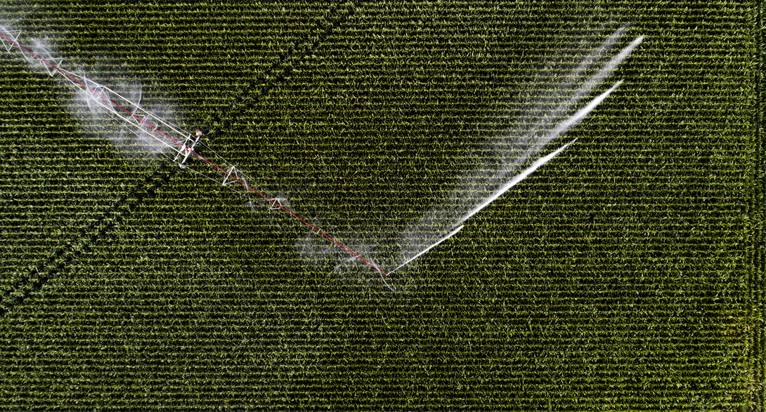 irrigation