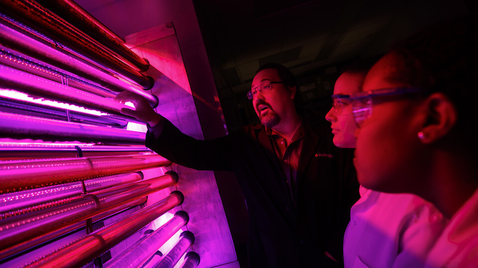 James Allen, (right) a biochemistry research associate, and Kathleen Mannino, a sophomore from St. Louis, discusses an experiment that uses algae and certain wavelengths to remove nitrates from groundwater. Links to larger image.