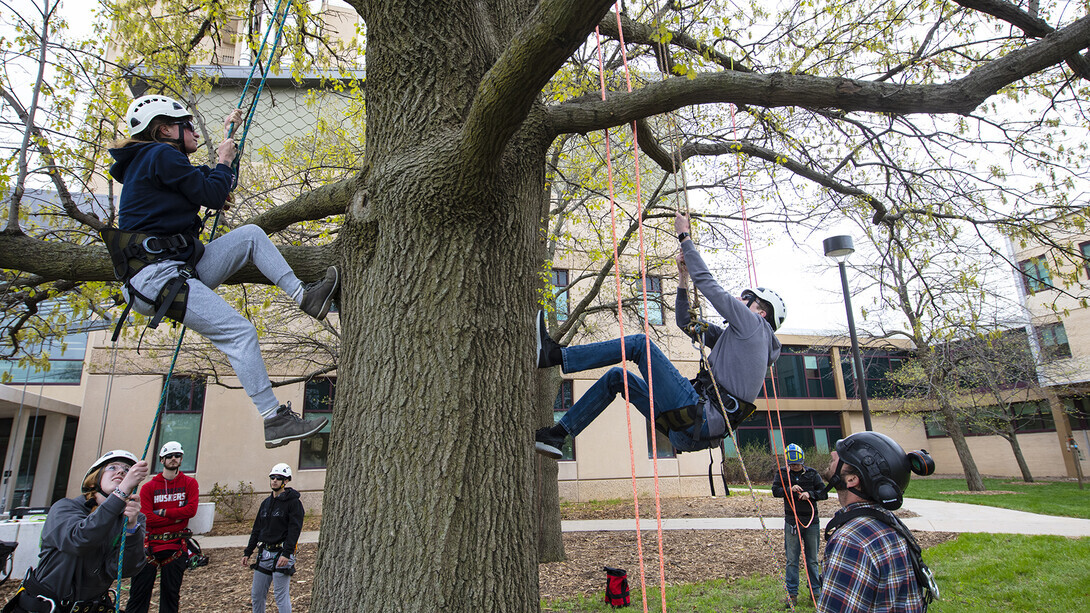 tree climbing