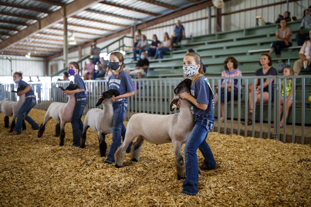 Nebraska County Fair