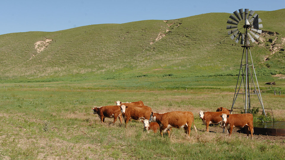 Grasslands