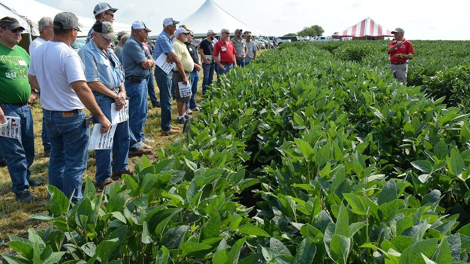 Soybean Management Field Days