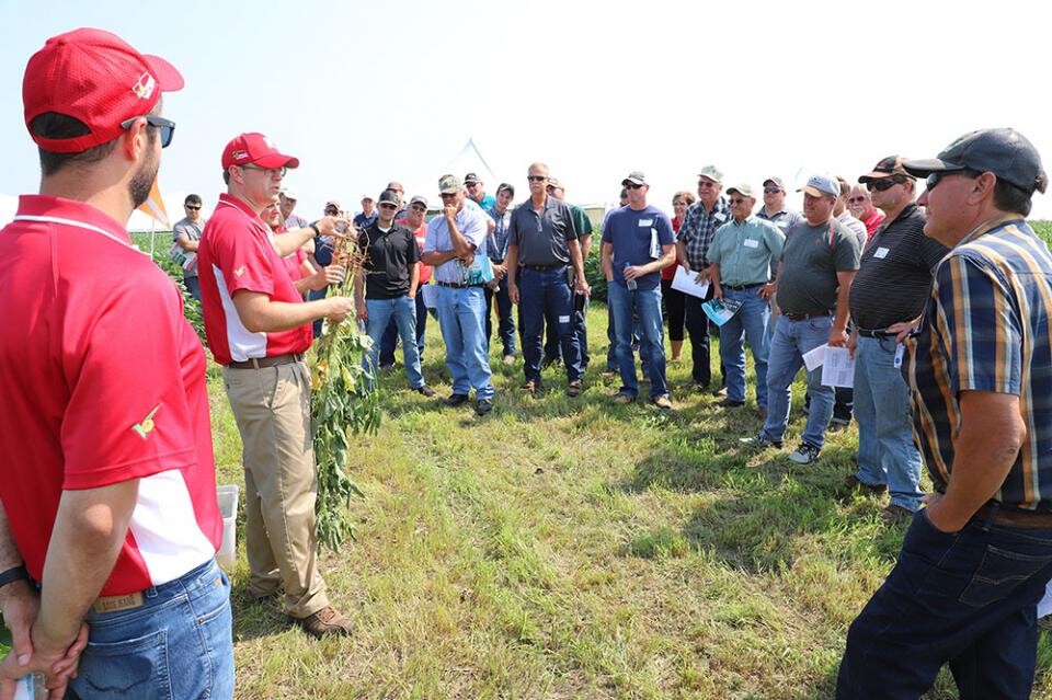 Soybean Management Field Days