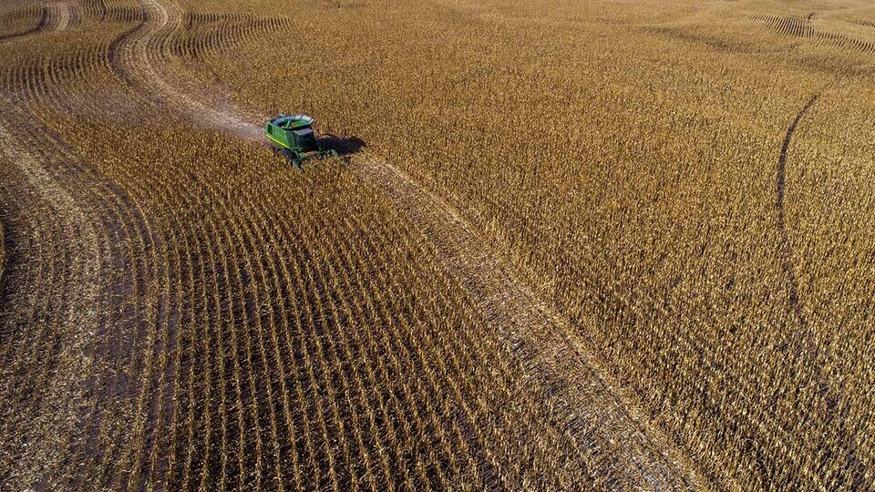 2020 Nebraska Rural Poll