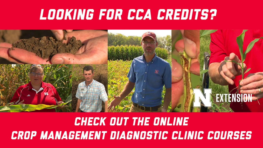 Looking for CCA Credits? Check out the online crop management diagnostic clinic courses.