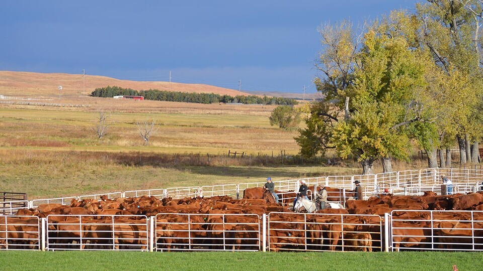 Center for Agricultural Profitability