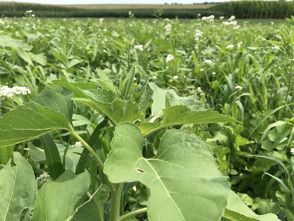 2022 Eastern Nebraska Soil Health Conference