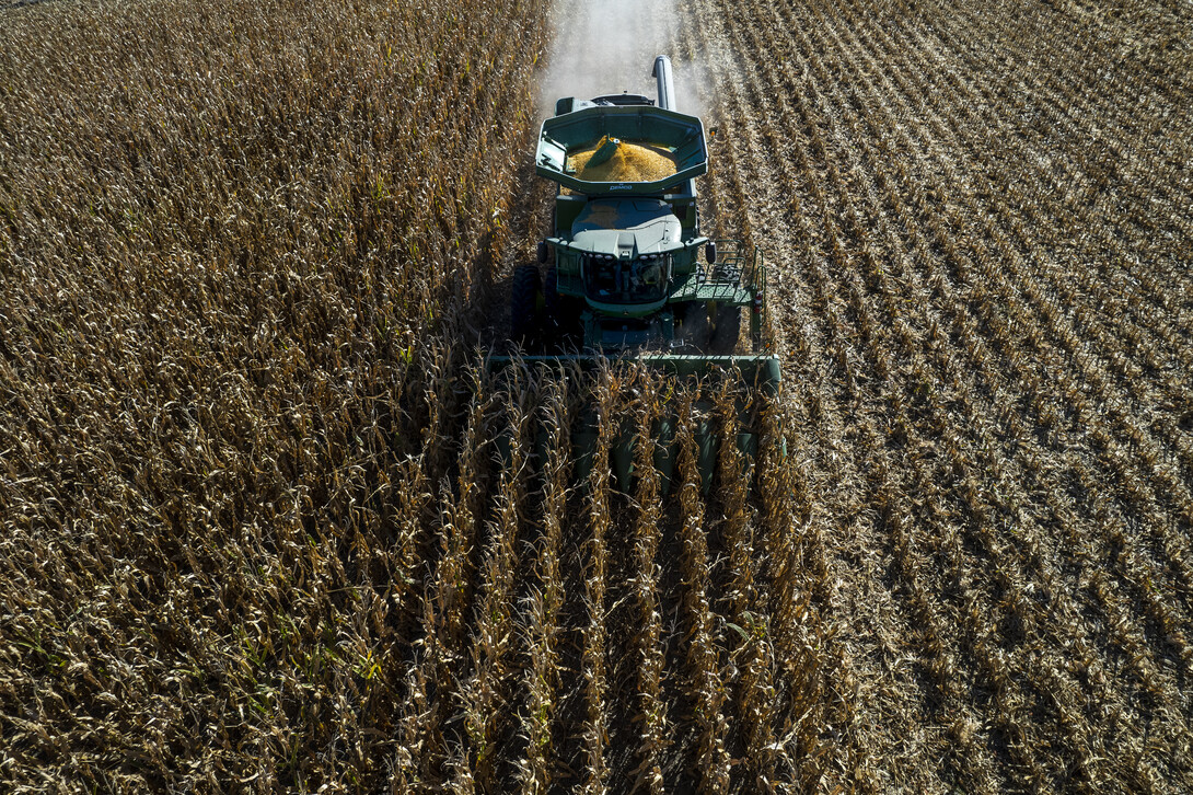 combine harvest