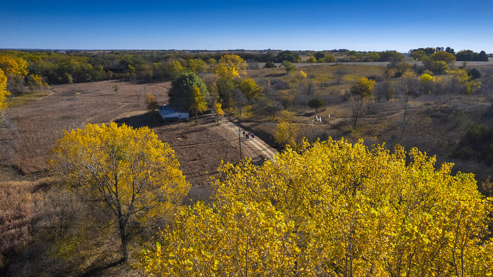 Reller Prairie