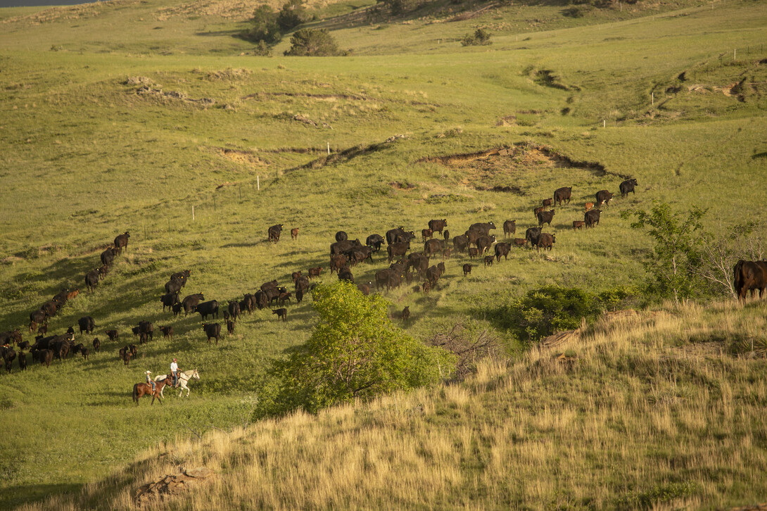 Ranch Drought Monitoring