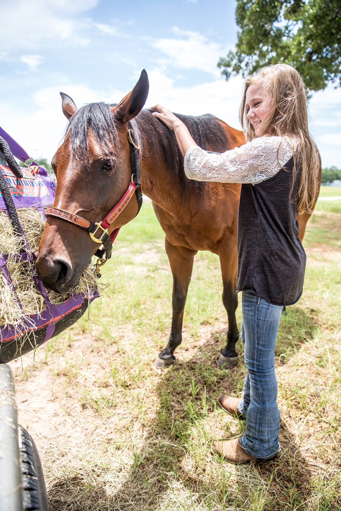 Horse Show