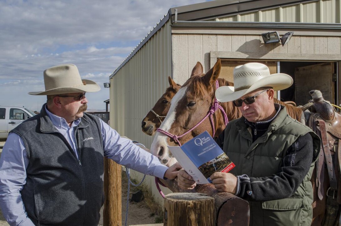 Nebraska Beef Quality Assurance