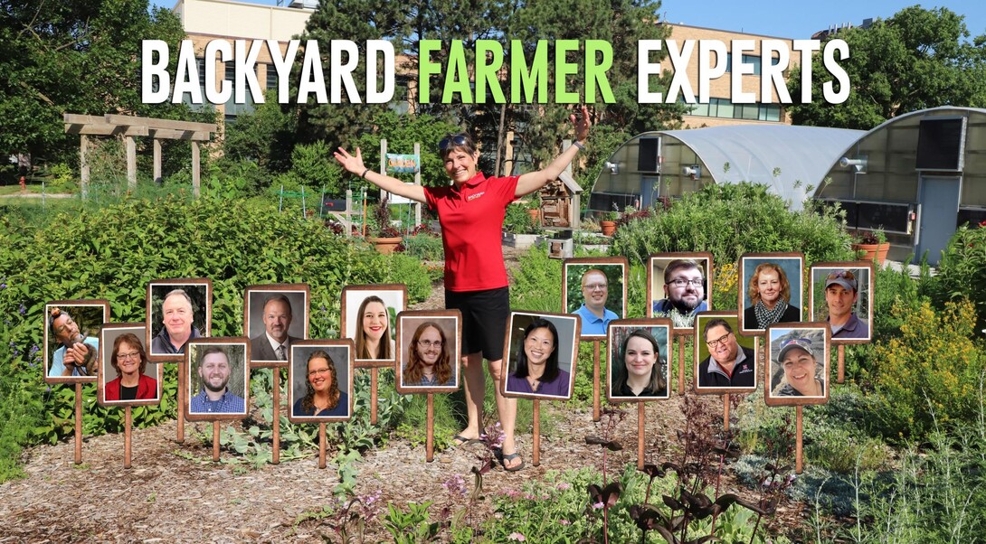 Backyard Farmer