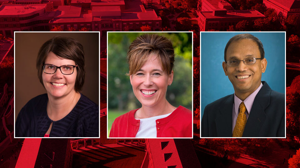 CASNR Dean Finalists