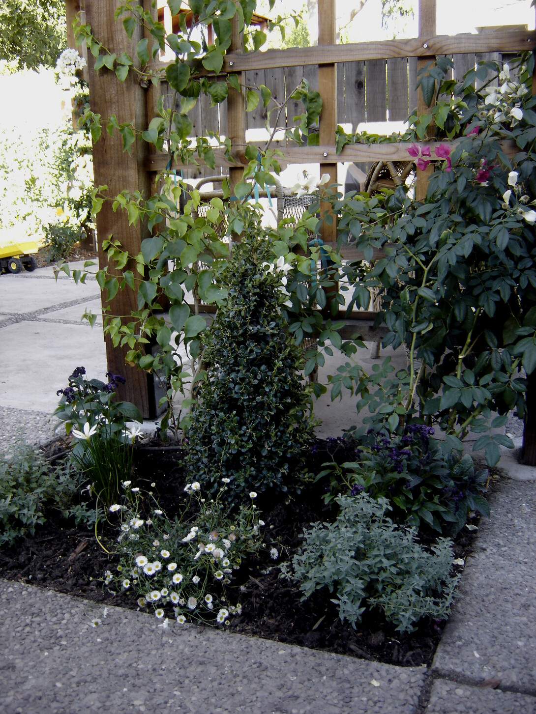 A small garden