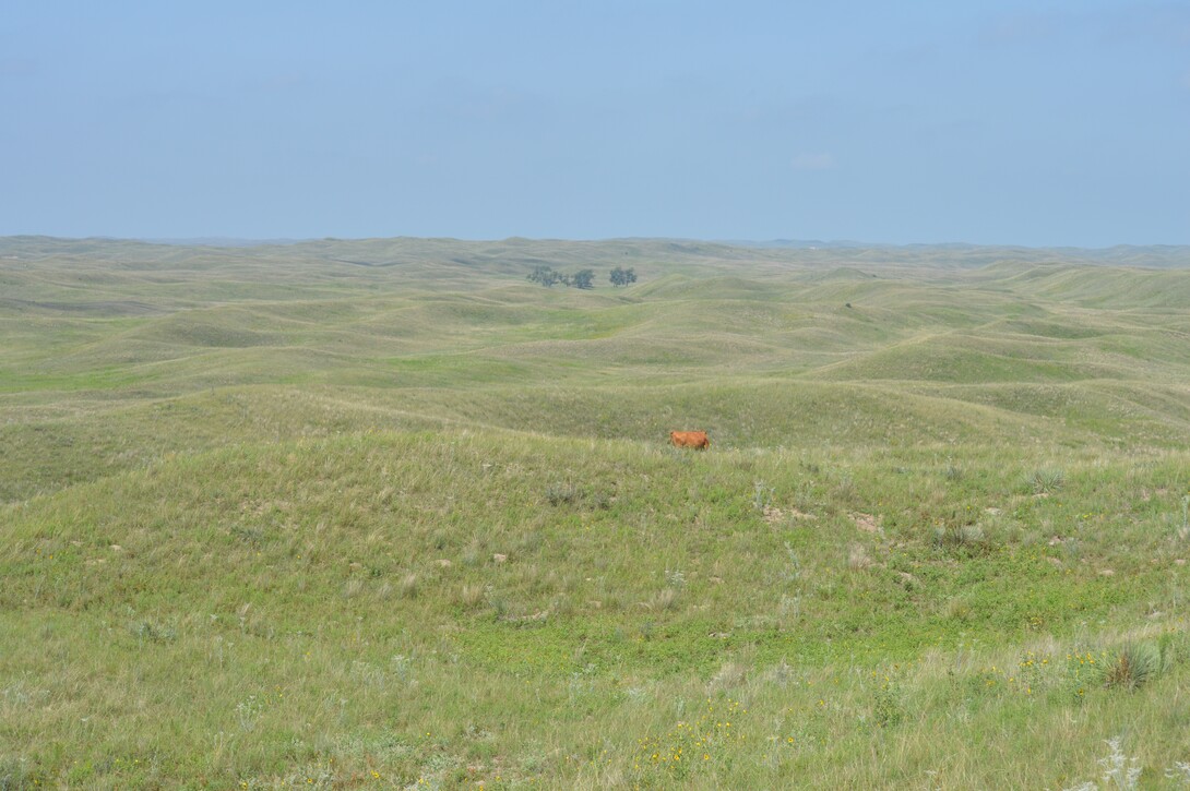 Nebraska Sandhills