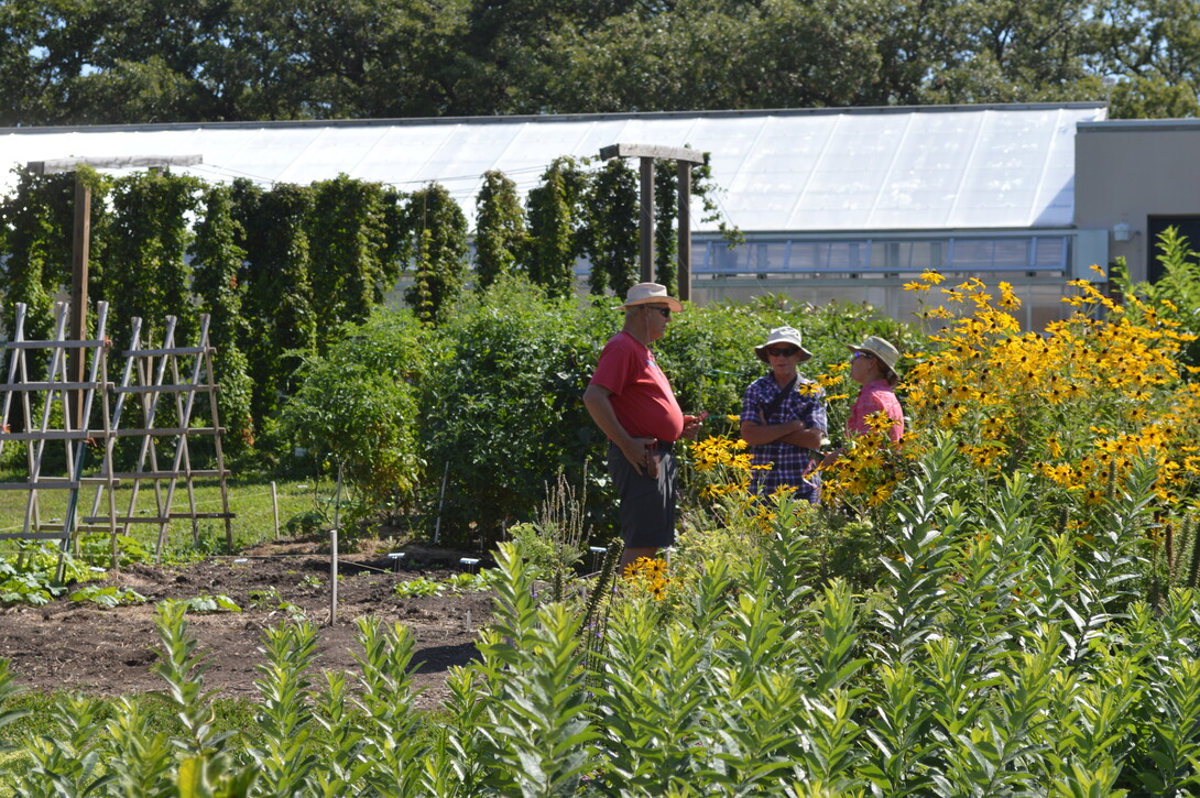 Backyard Farmer Garden