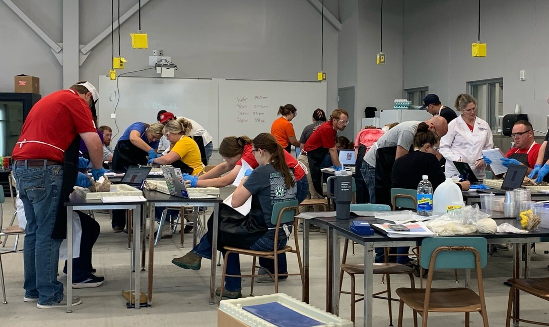 students at dissection tables