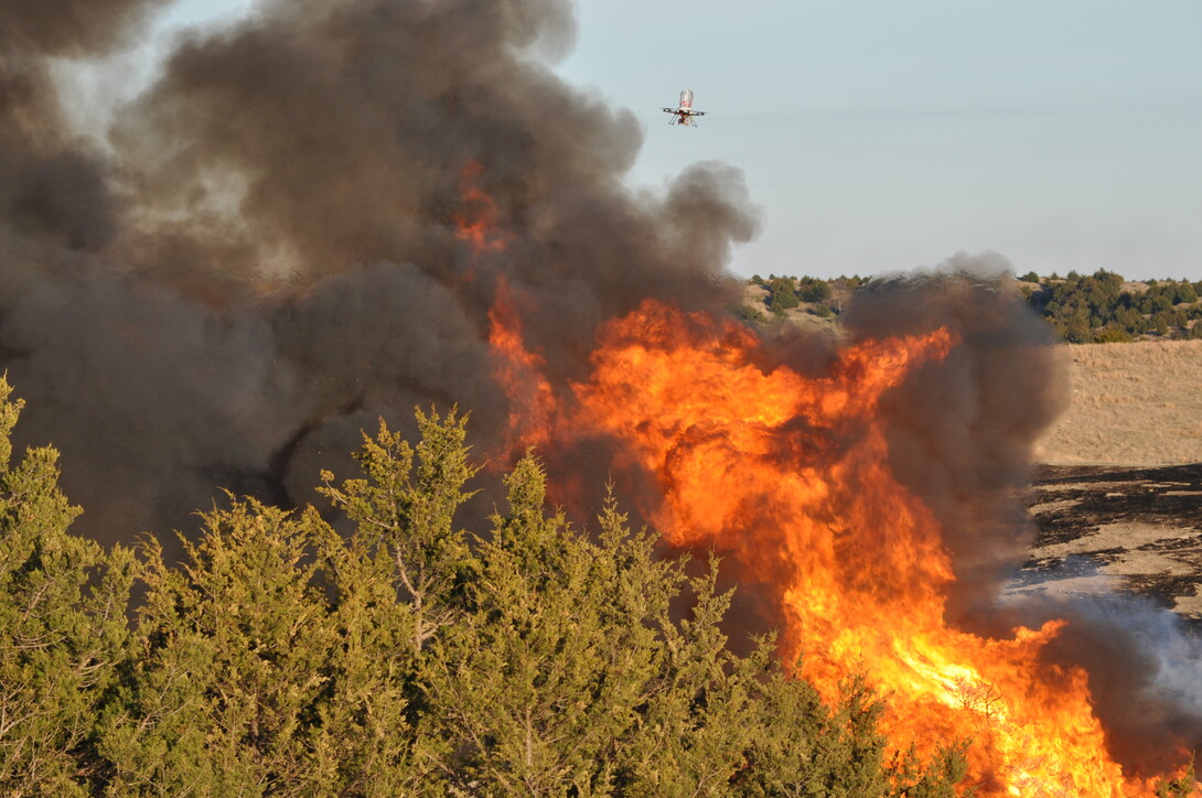 land burn