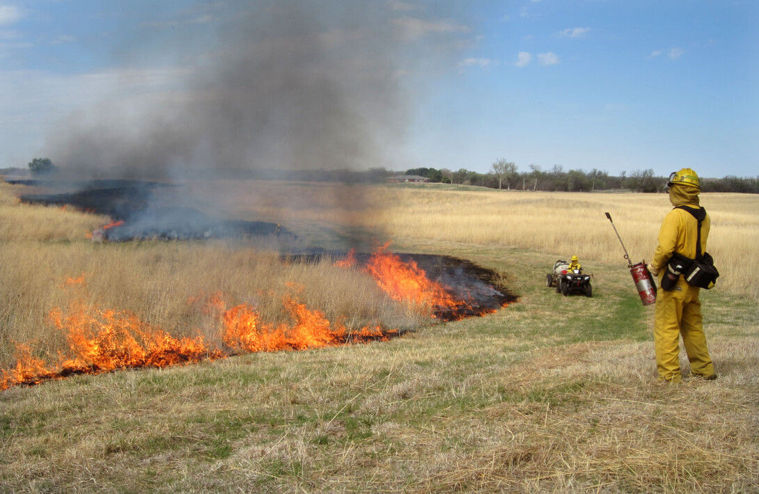 prescribed fire