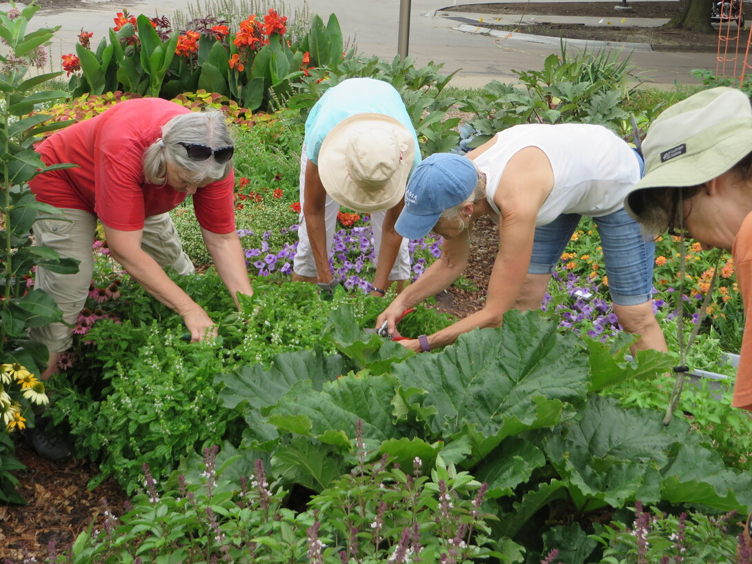 Gardening