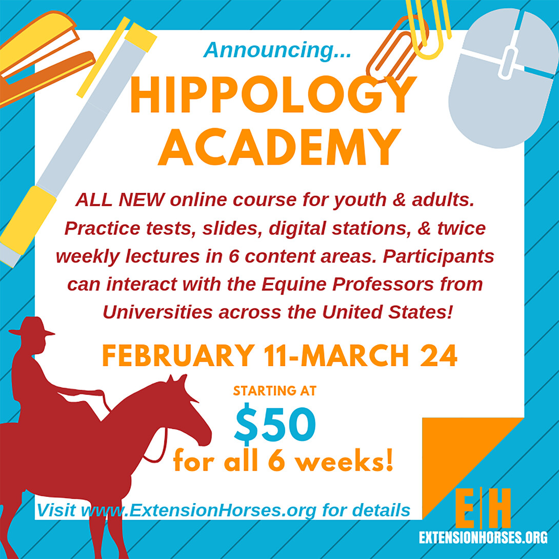 Hippology Academy Flyer.